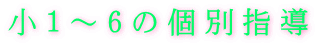 小１～6の個別指導